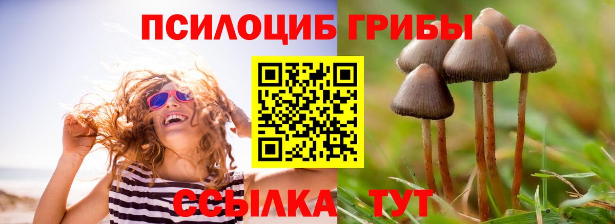 Псилоцибиновые грибы прущие грибы  Вход с VPN  Тольятти  Галлюциногенные грибы Cubensis 
